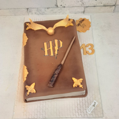 № 3101 Motivtorte Harry Potter